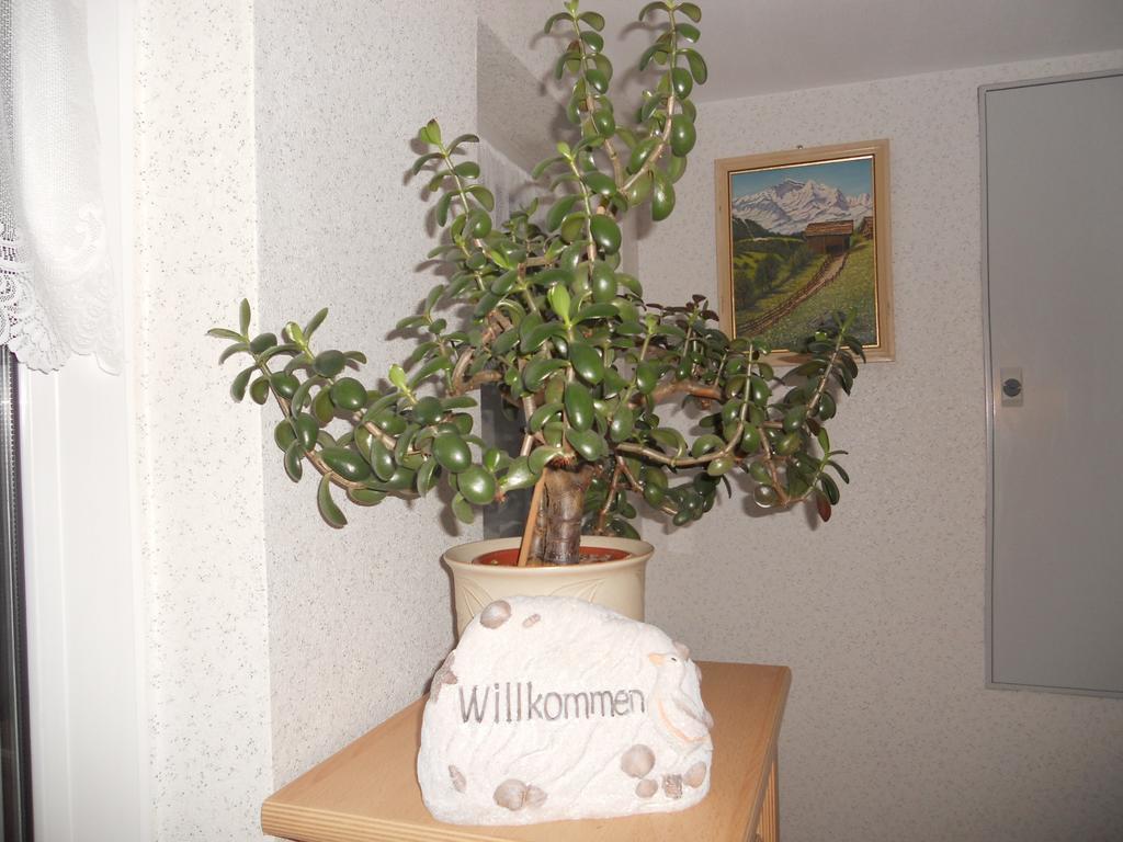Ferienhaus In Hafennahe Apartment Сасниц Стая снимка